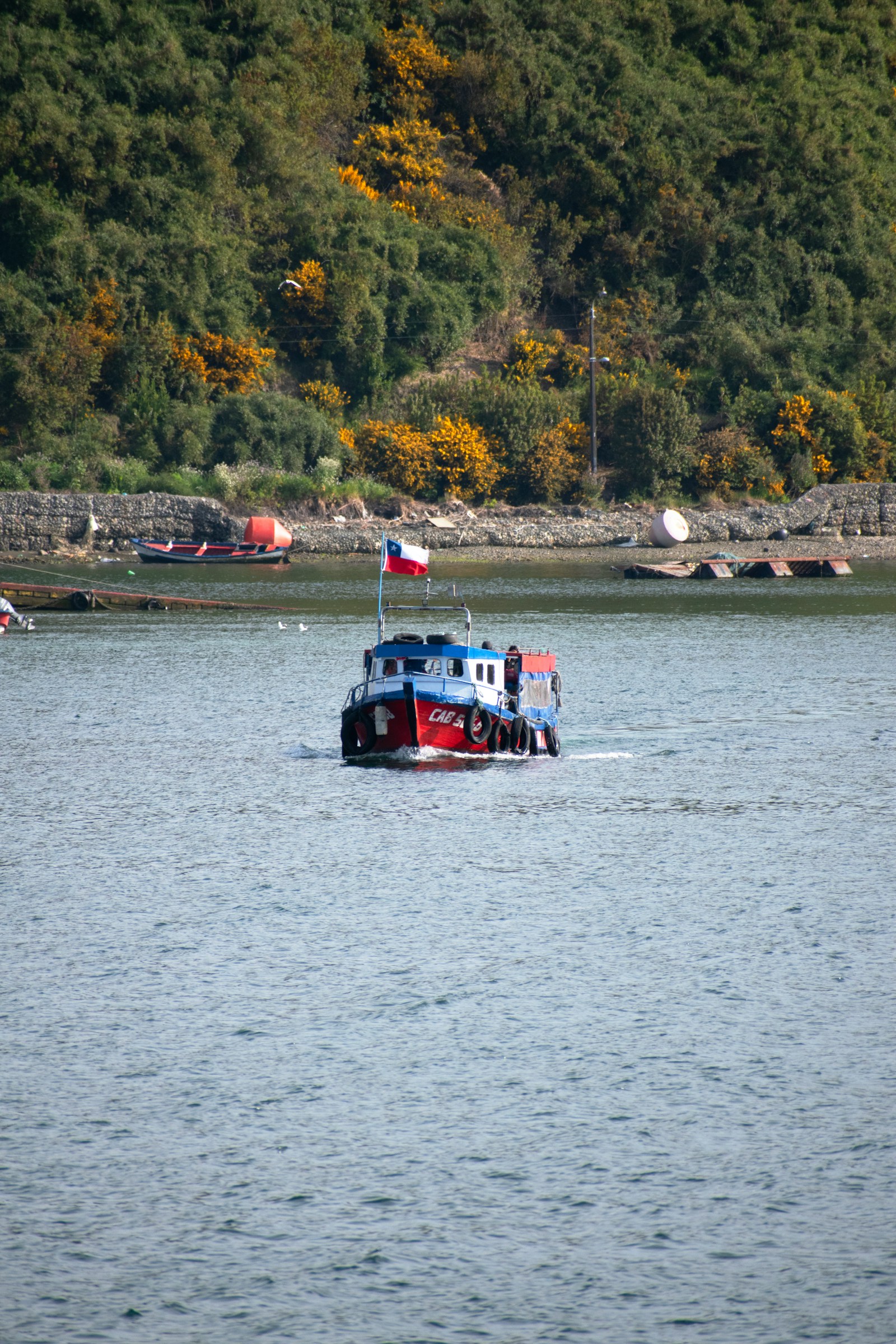 Barco en un cuerpo de agua del sur